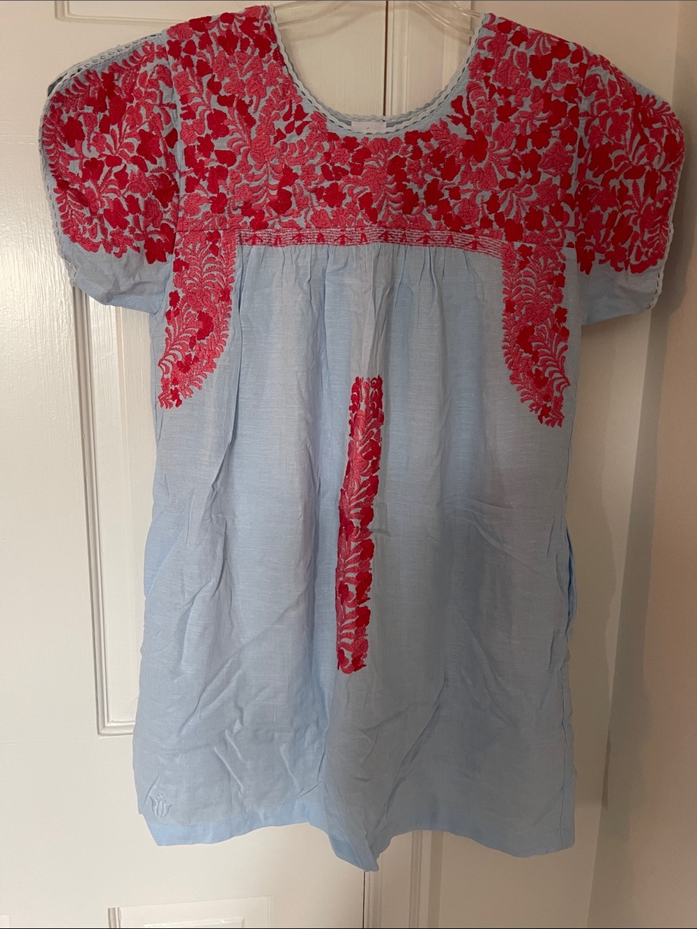 Light Blue Mini Dress with Red Floral Embroidery